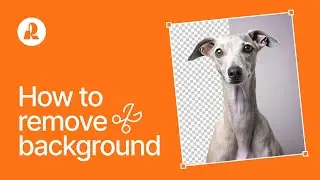 How to remove a background from any image in one click