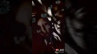 Я в лайке 2