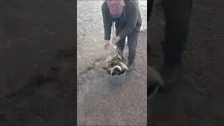 Как правильно ловить рыбу