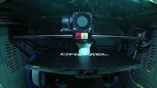 3D Reindeer