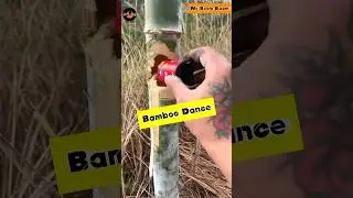 Bamboo Boom Baam 🤣#mrboombaam #firecrakers #fireworks #shorts