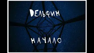 Дельфин "Начало"