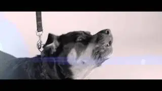 Moto ft. Aero -  Let It Go (Official Video)