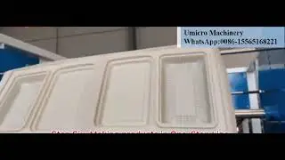degradation disposable straw lunch box production process #degradation lunch box machine #straw lunc