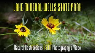 PANASONIC LUMIX G85 SAMPLE 4k VIDEO & PHOTOS: Lake Mineral Wells State Park Texas