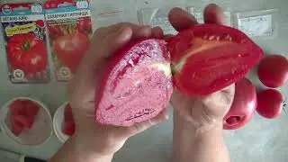 Дегустация 2024   № 5