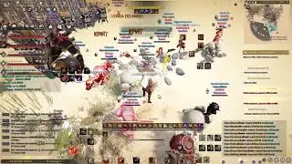 BDO 62 Berserker PVP Valencia