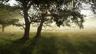 Кровать Arboré. Фабрика Alivar. Дизайн Alessandro Corina
