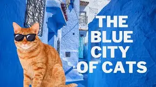 Fun facts about Morocco🇲🇦