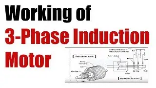 Working Principle of 3 Phase Induction Motor
