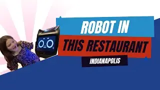 Robot Cat Waiter in Indianapolis