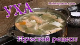 Salmon fish soup. A simple recipe.