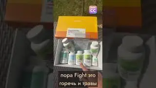 8 жовтня 2023 р.