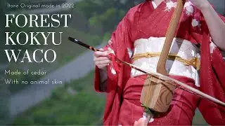 Forest Kokyu ~Waco~