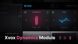 Total Dynamic Control with Xvox