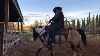 Step 5 Nickle Fencing