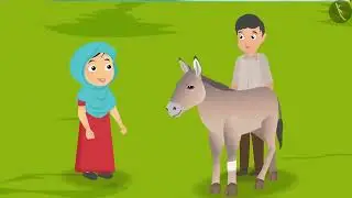 Class 3 EVS Chapter 19 Our Friends Animals  English Environmental Studies ncert Looking Around