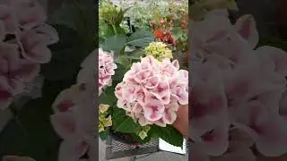 30 июля 2023 г.