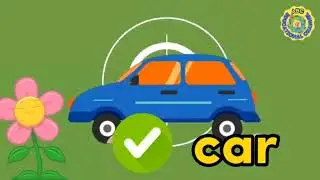 Reading Practice|Phonics Reading | Reading Sentences | Basic Sentences