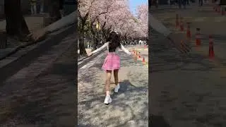 Cherry Blossom with Cherry | South Korea Trip 🇰🇷