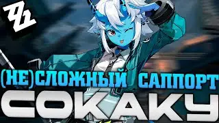 Сокаку на самом деле простая! Гайд: реализация в бою и сборка! Zenless Zone Zero