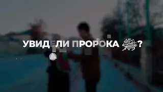 ШОК \ Если бы Вы увидели Пророка (мир ему и благословение)? Социальный опрос