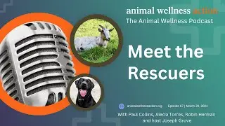 Meet the Rescuers | Episode 67