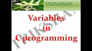 Variable is C programming