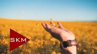 Bir Yaz Daha Bitiyor - Gündoğarken (Official Video)