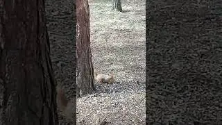 #ДЛЯ ДУШИ