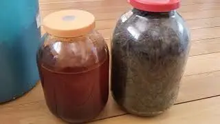 ПРОРАЩИВАНИЕ КАРТОФЕЛЯ перед ПОСАДКОЙ