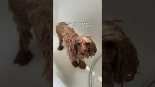 До и После