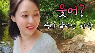 No37-마지막 캠핑이 될뻔한 차박~🫨 특별한날은 폭탄주🍺🍻🥃