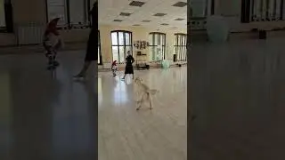 Танго с моим замечательным партнёром. #goldenretriever