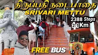 🔥Tirupati Srivari Mettu footpath | Tirupati Nadaipathai | Srivari mettu | tirupati temple tamil