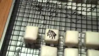 Episode 20 Part 3- Petits Fours Glace - 10-17-10 - The Aubergine Chef