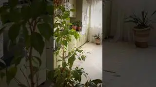 КРАСИТЬ КУХНЮ ИЛИ НЕТ? #diy #перекраскамебели #мебель #творчество #редизайнмебели #art