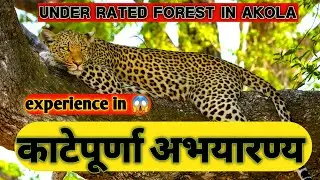 katepurna wildlife sanctuary.काटेपूर्णा अभयारण्य .