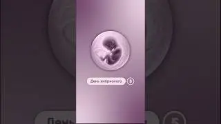 День эмбриолога. Часть 5