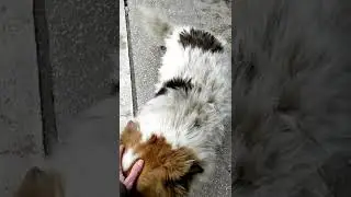 це любов)))