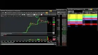Tape TENX GAP100 - 06 February 2024