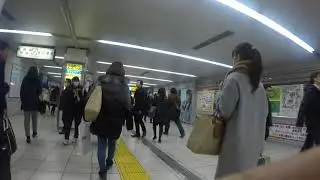 GOPR5238