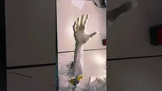 Meet the Future 😮 Amazing Robots in Action 
