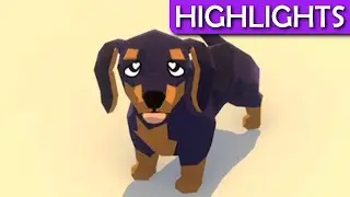 The Dog Photographer - Jerma Highlights (Pupperazzi)