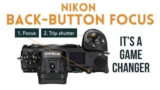 Nikon Back-Button Focus Setup - It Will Change the Way You Shoot