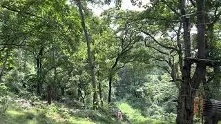 Vatika Adventure Park, Mohan Chatti, Rishikesh