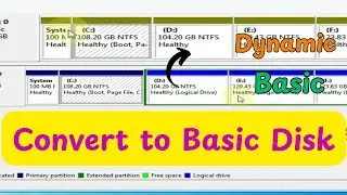 Convert Basic Disk To Dynamic Disk Without Losing Data in Windows 11