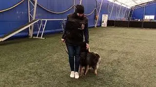 Unerschrocken Izzi (начало обучения позиции рядом)
