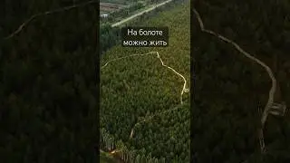 Экотропа в Талдоме 
