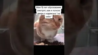 #мем